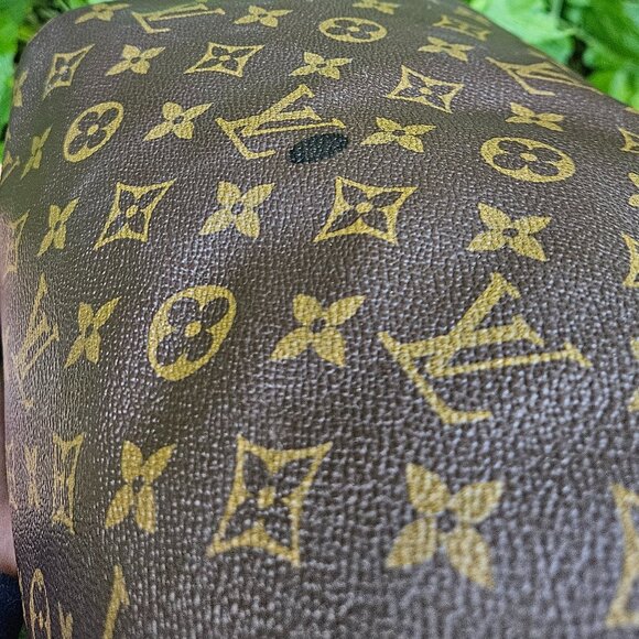 Louis Vuitton LV Hand Bag Speedy 30 - Picture 14 of 16